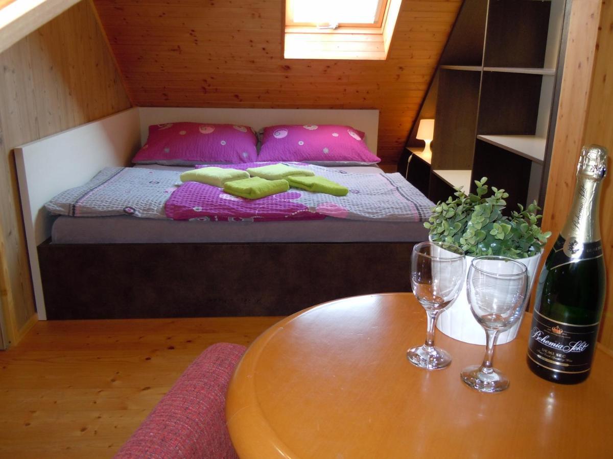 Apartment Wellness Vlckova Dış mekan fotoğraf