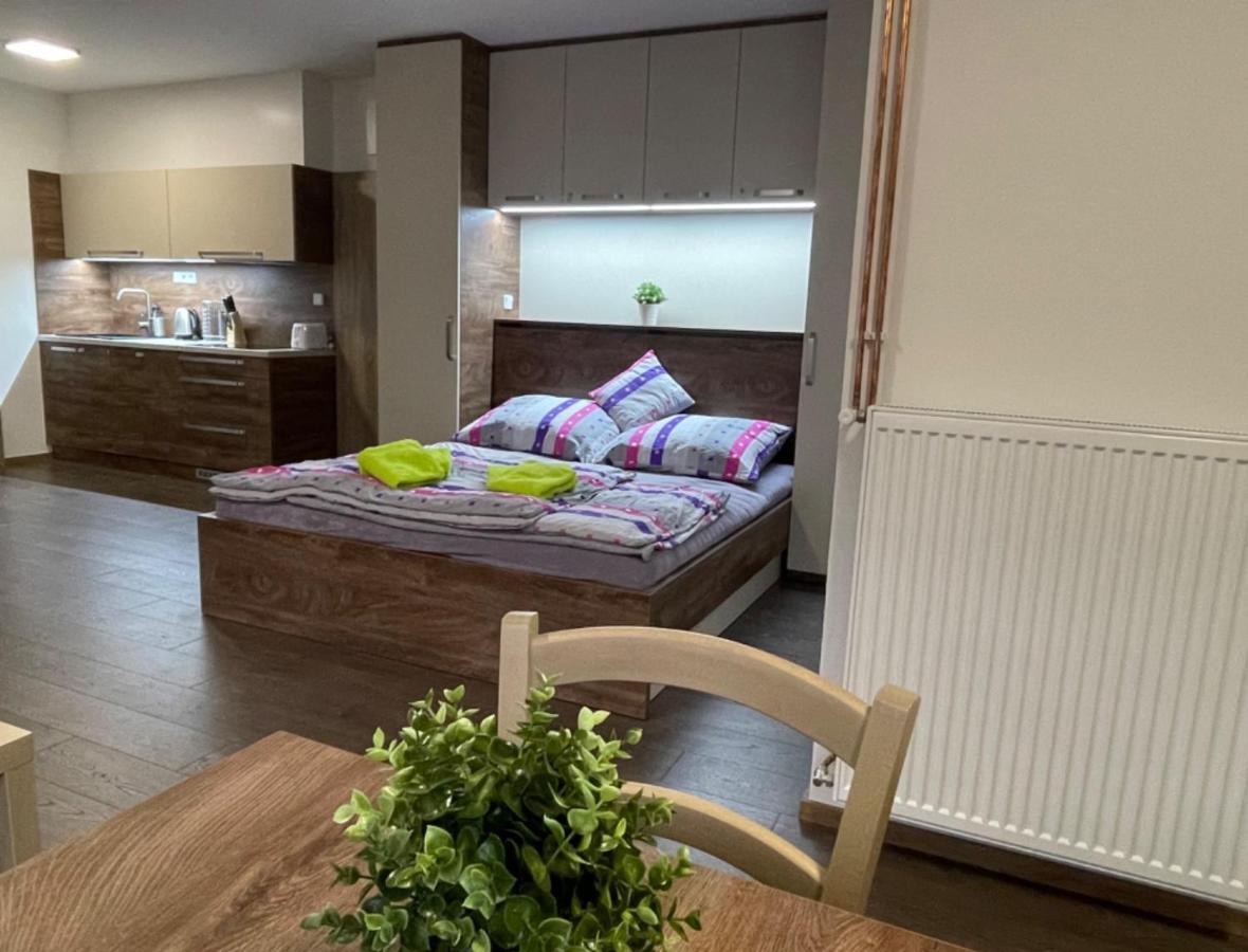 Apartment Wellness Vlckova Dış mekan fotoğraf